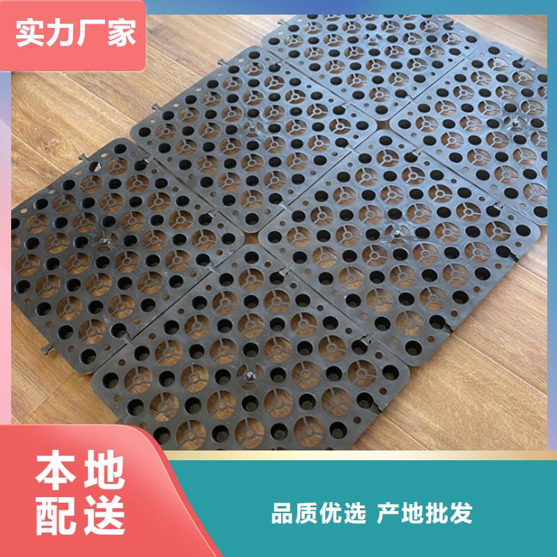 塑料排水板土工格室专注生产制造多年