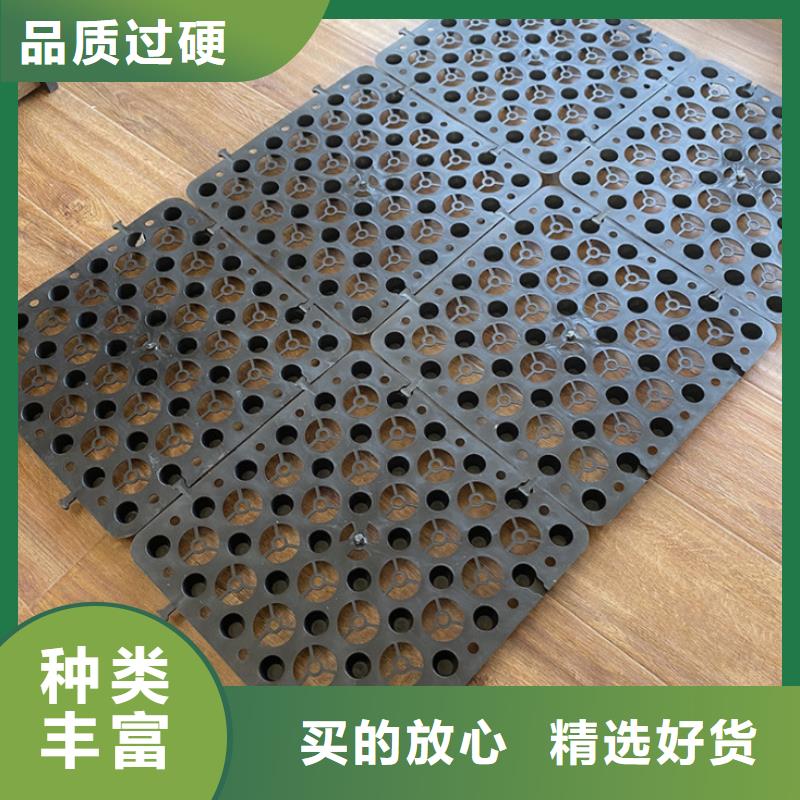 塑料排水板玻纤土工格栅品质服务