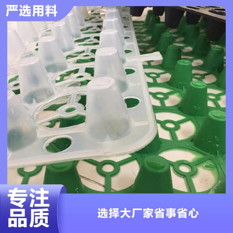 塑料排水板凹凸型