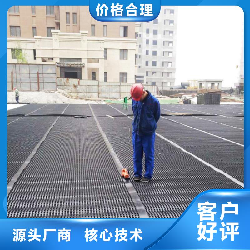 塑料排水板产品细节