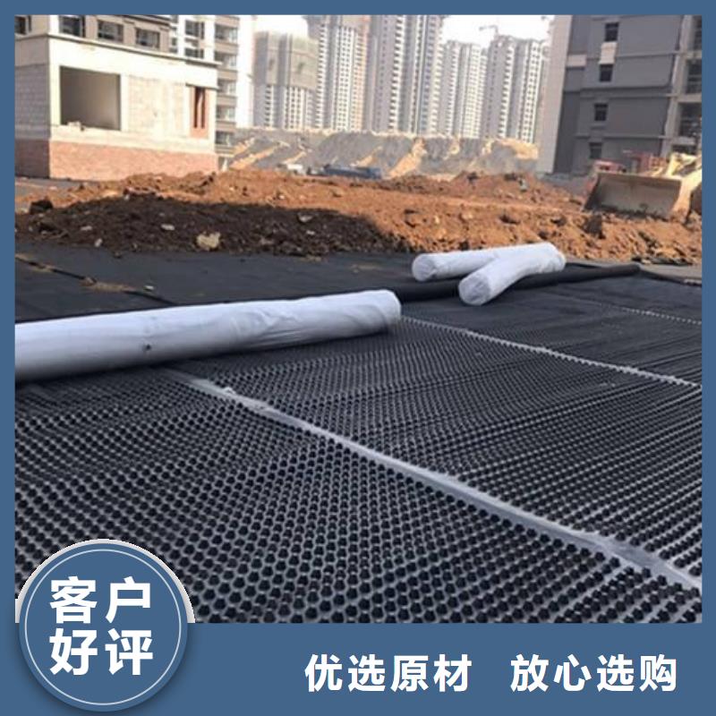 塑料排水板-钢塑土工格栅厂家价格地道