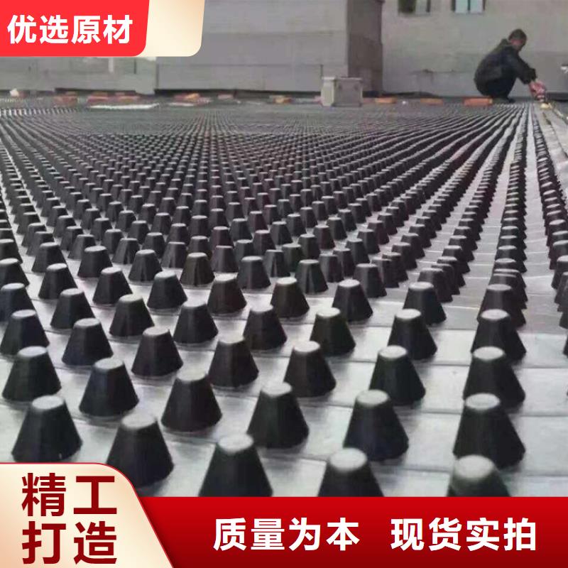 塑料排水板土工格室专注生产制造多年
