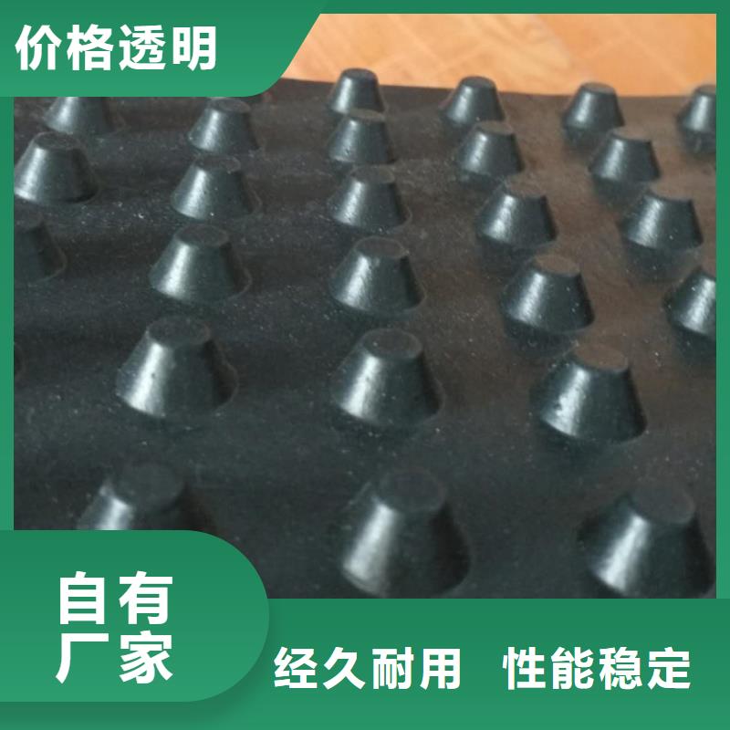 塑料排水板三维水土保护毯诚信经营