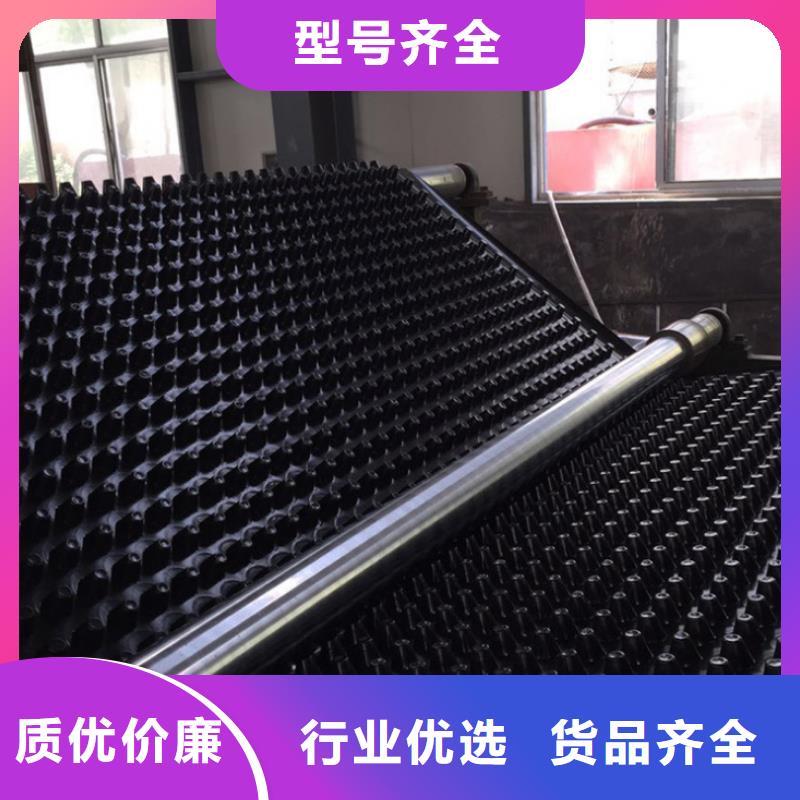 塑料排水板土工膜优质材料厂家直销
