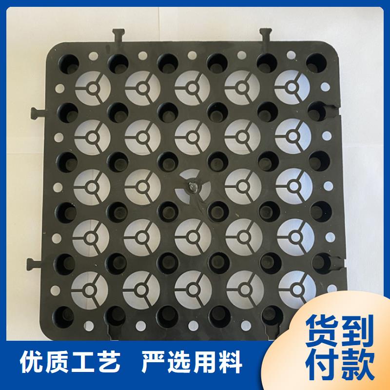 塑料排水板三维水土保护毯诚信经营