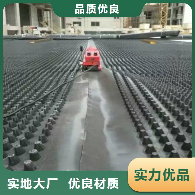塑料排水板土工格室专注生产制造多年