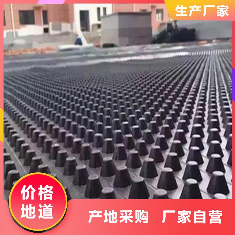 塑料排水板三维水土保护毯诚信经营