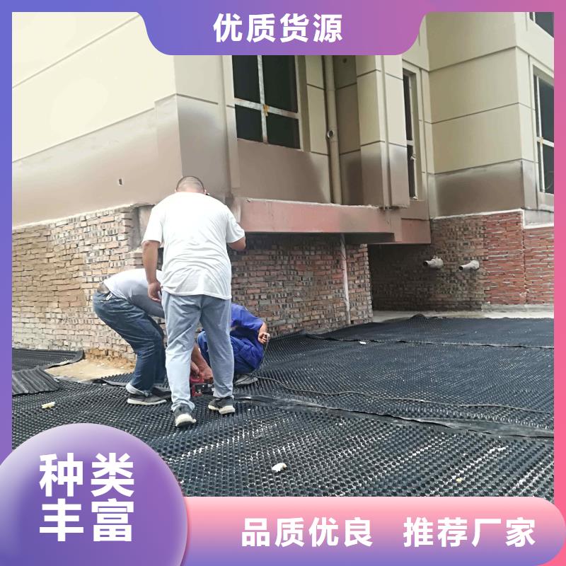 塑料排水板土工膜优质材料厂家直销