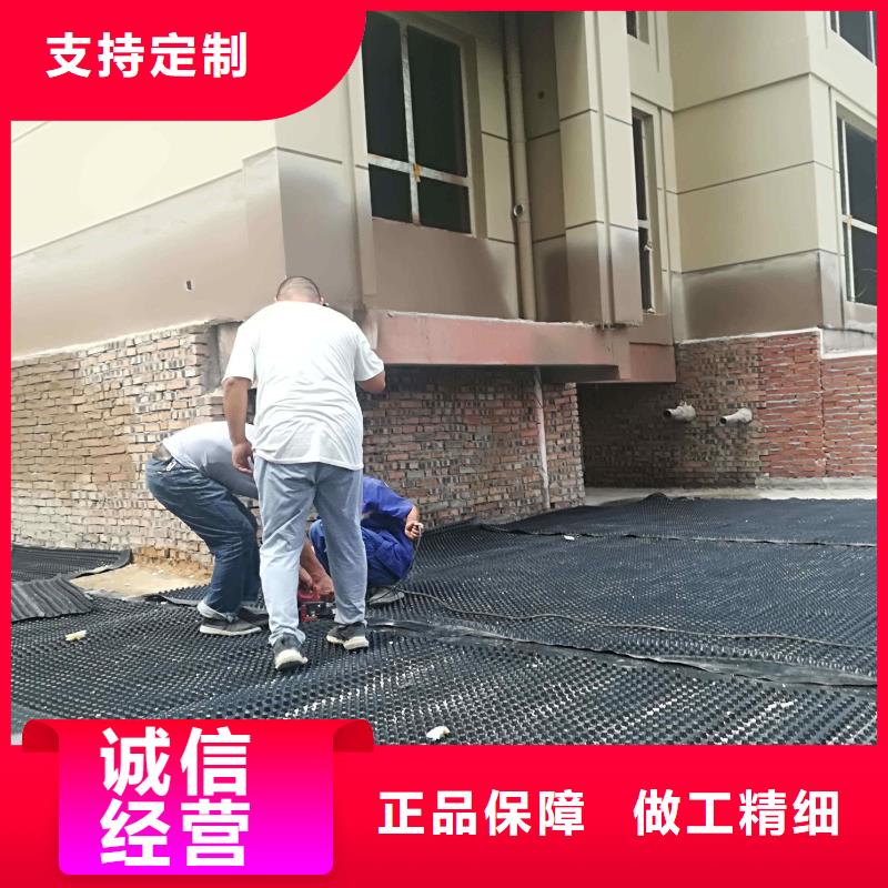 塑料排水板三维水土保护毯诚信经营