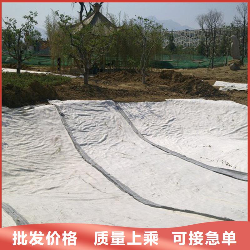 防水毯土工席垫品质保证实力见证
