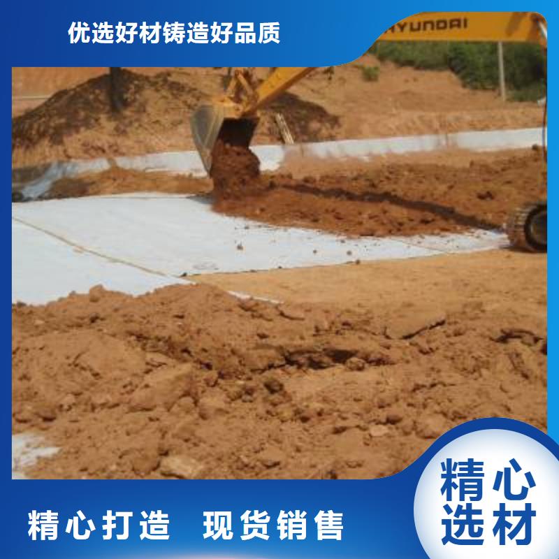 防水毯土工席垫品质保证实力见证