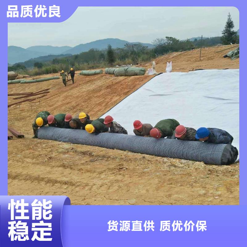防水毯土工席垫品质保证实力见证
