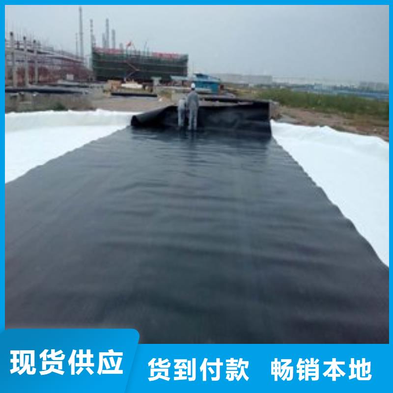 土工膜防水土工布厂家支持非标定制