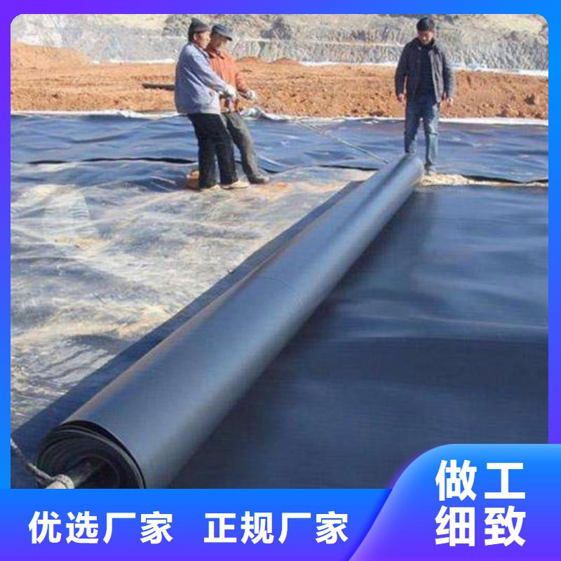 土工膜涤纶土工格栅优质材料厂家直销