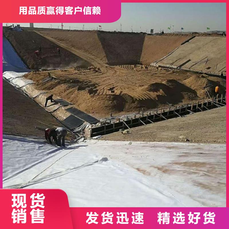 土工膜涤纶土工格栅优质材料厂家直销
