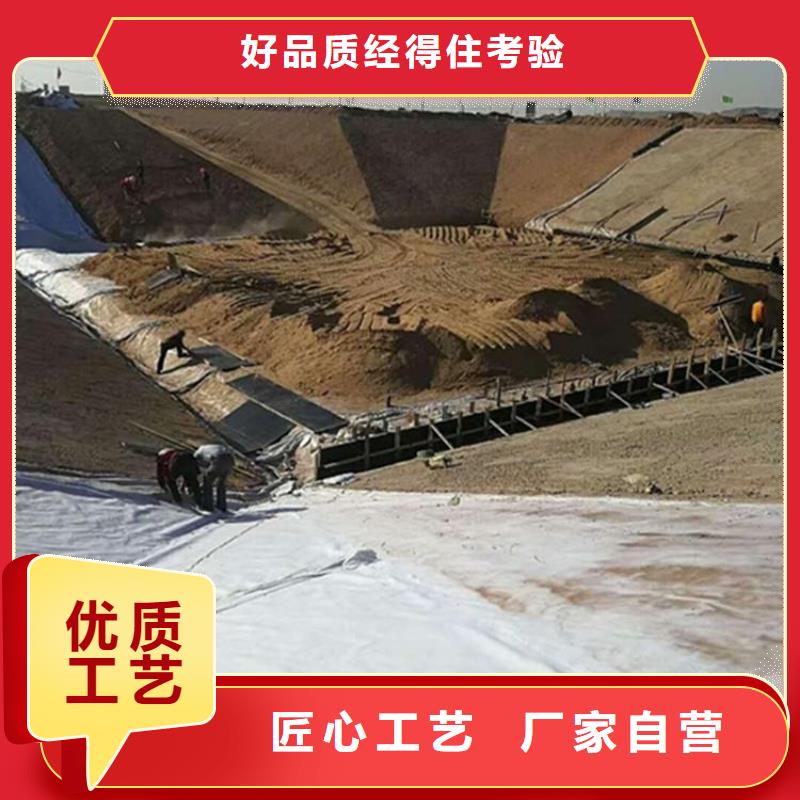 土工膜,钢塑土工格栅信誉至上