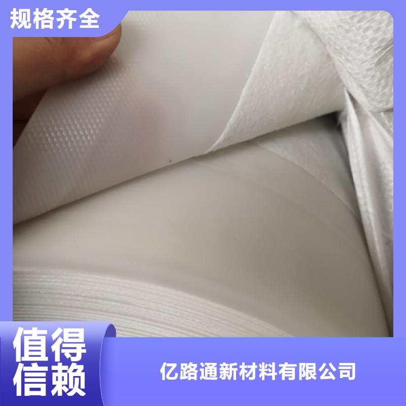 土工膜_塑料盲沟厂家案例