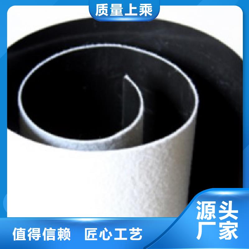 土工膜涤纶土工格栅优质材料厂家直销