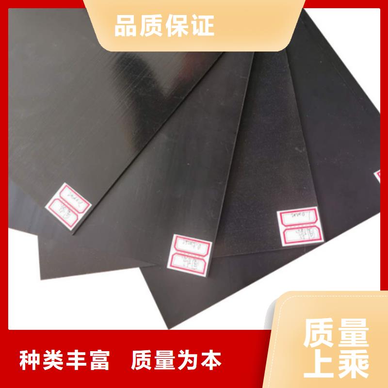 土工膜护坡土工网海量库存