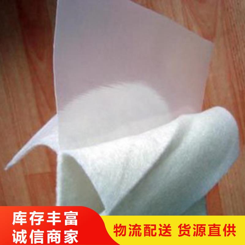 土工膜护坡土工网海量库存