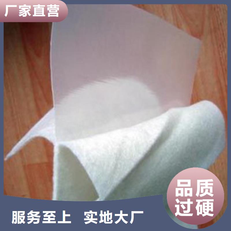 土工膜涤纶土工格栅优质材料厂家直销