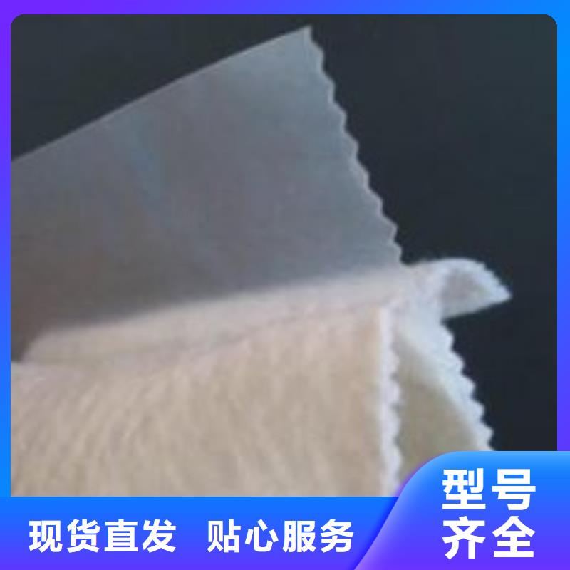 土工膜土工布厂家批发价
