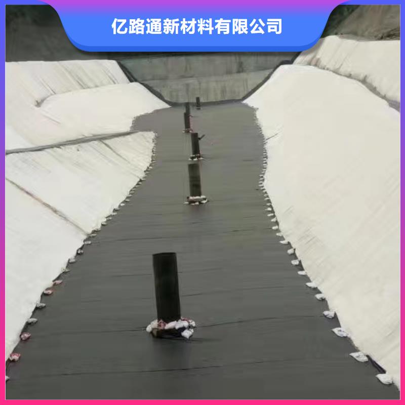 土工膜【单向塑料土工格栅】根据要求定制