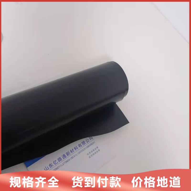 土工膜护坡土工网海量库存
