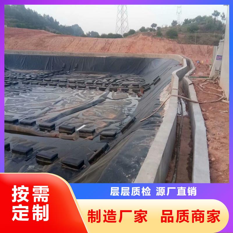 土工膜,钢塑土工格栅信誉至上