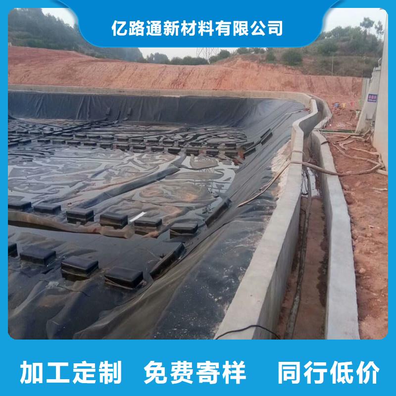 土工膜【单向塑料土工格栅】根据要求定制