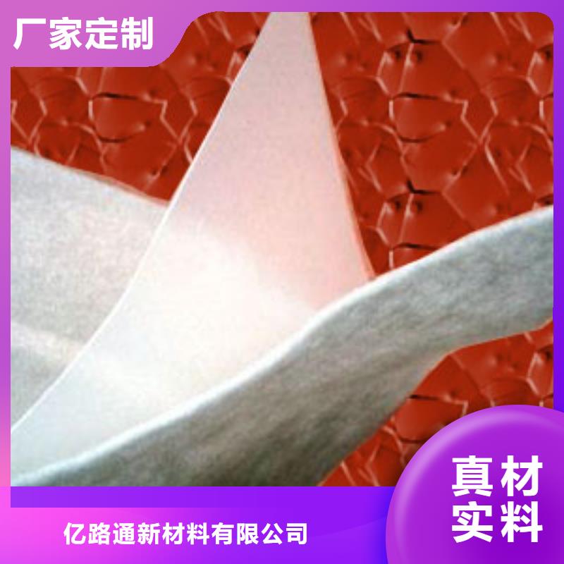 土工膜护坡土工网海量库存
