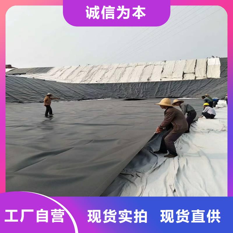 土工膜【单向塑料土工格栅】根据要求定制