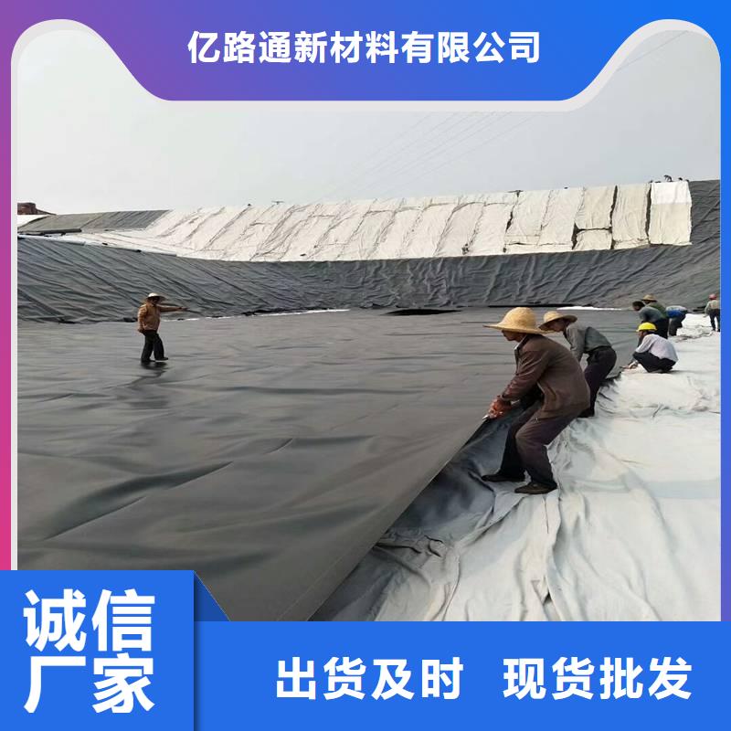 土工膜护坡土工网海量库存