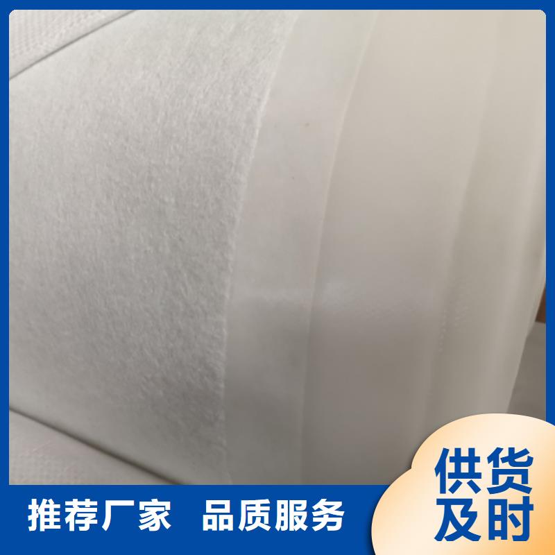 土工膜护坡土工网海量库存