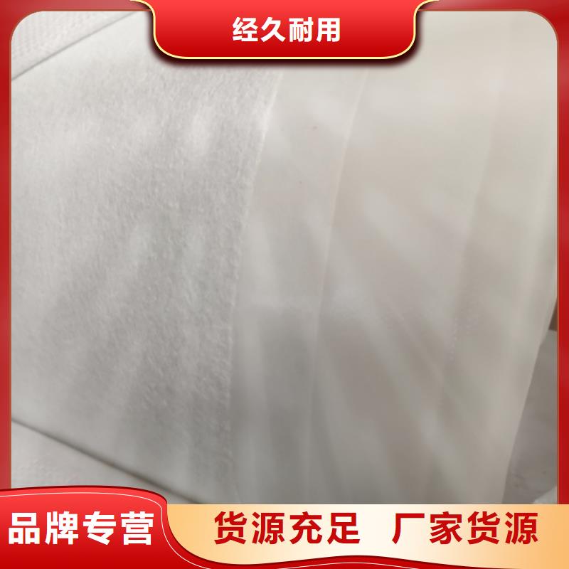 土工膜护坡土工网海量库存