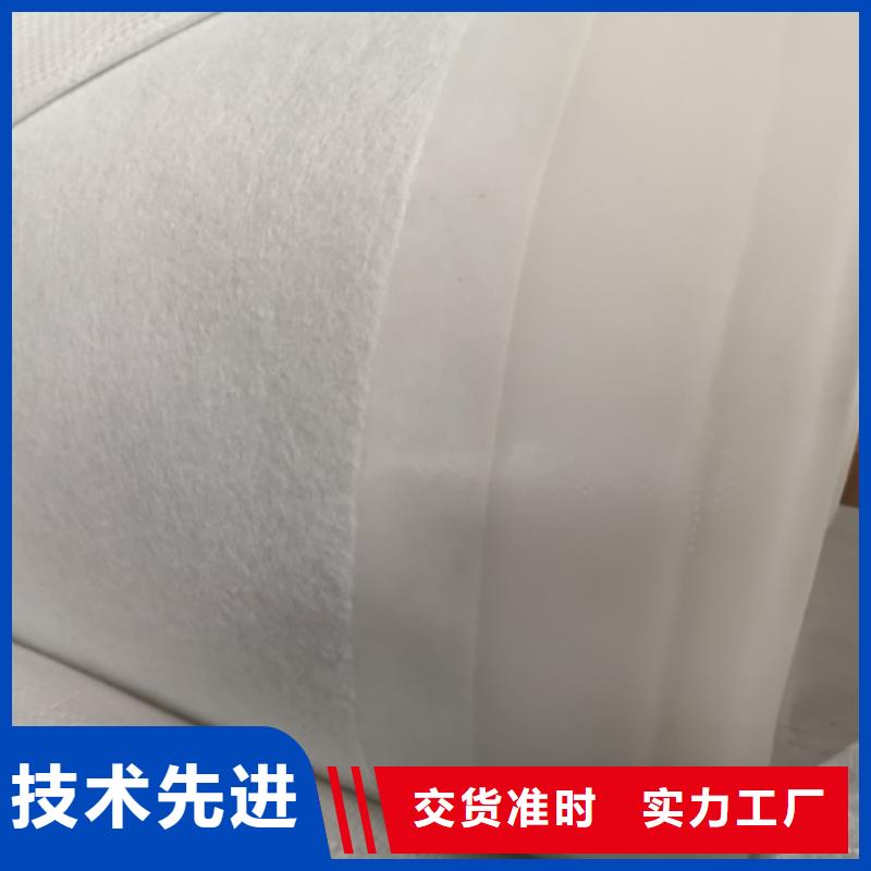 土工膜【单向塑料土工格栅】根据要求定制