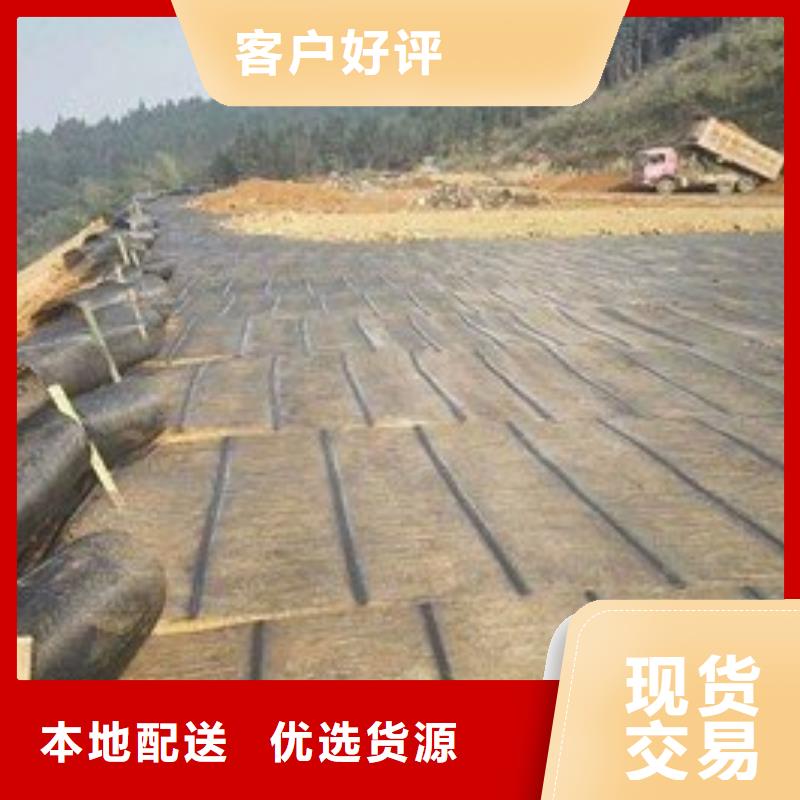 土工格栅_钢塑土工格栅厂家采购