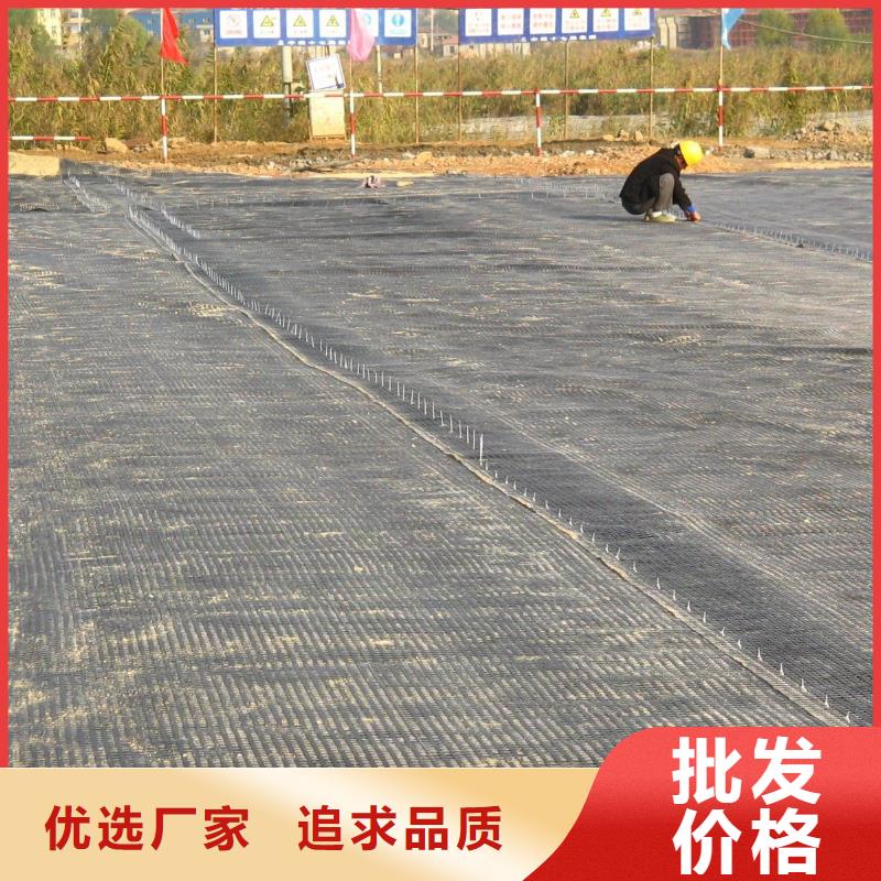 土工格栅_钢塑土工格栅厂家采购