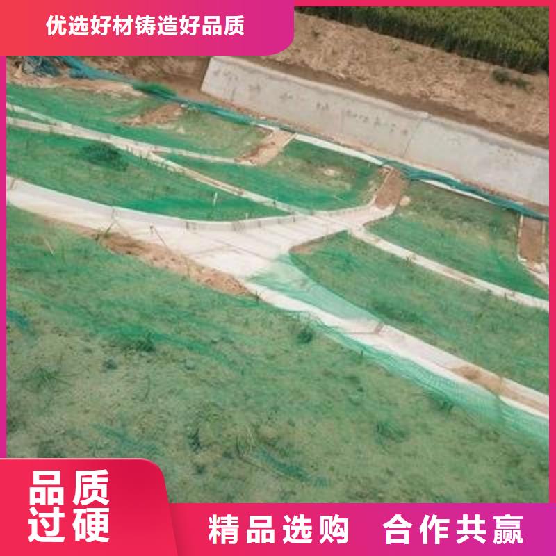 【三维植被网】塑料盲沟买的放心安兴用的舒心