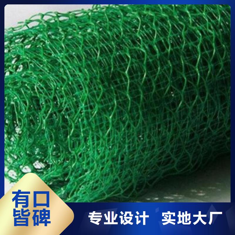 【三维植被网】塑料盲沟买的放心安兴用的舒心