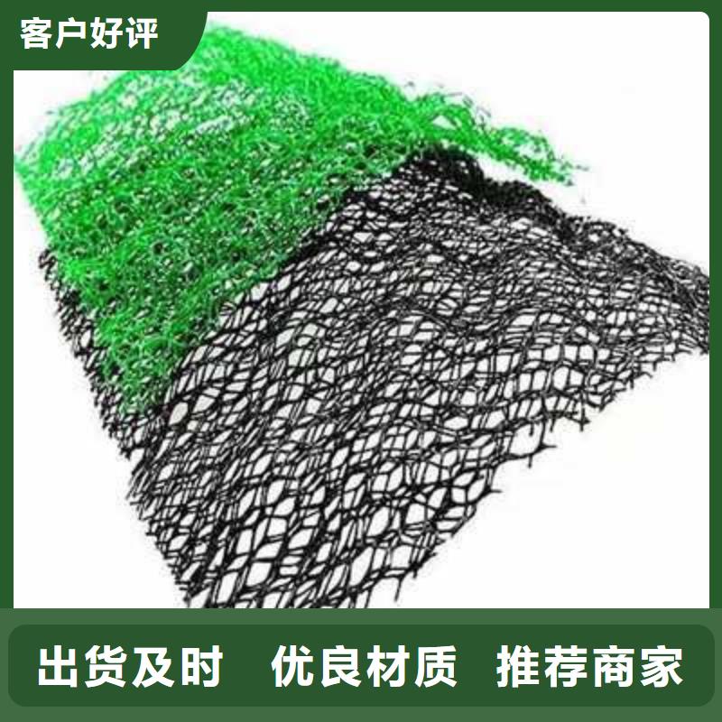 【三维植被网单向塑料土工格栅品类齐全】