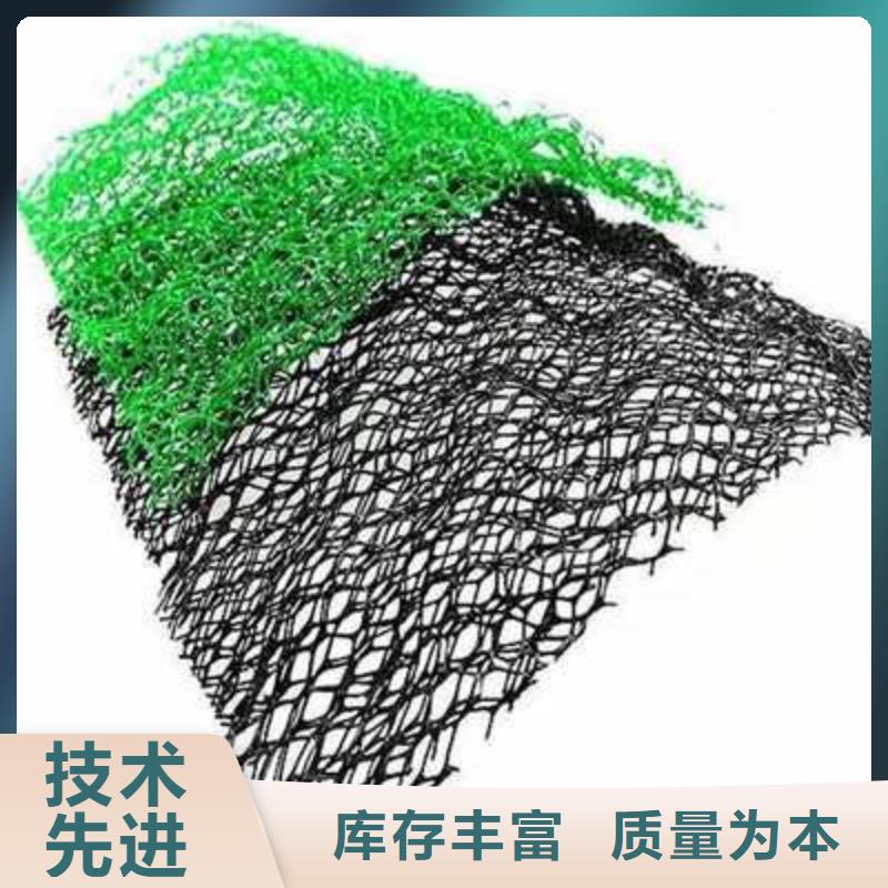 三维植被网钢塑土工格栅一站式采购商家