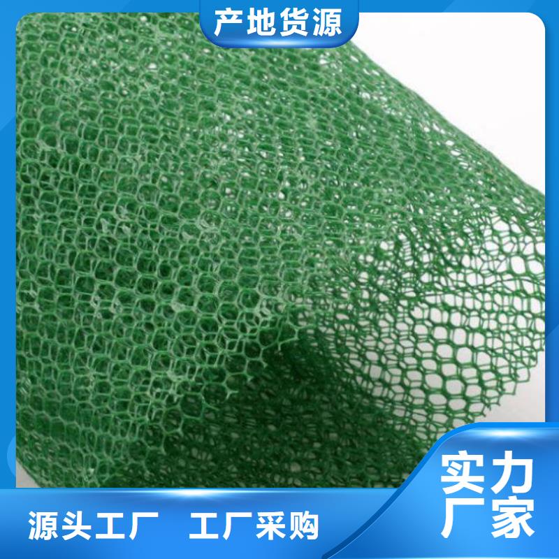 三维植被网【三维水土保护毯】源头实体厂商