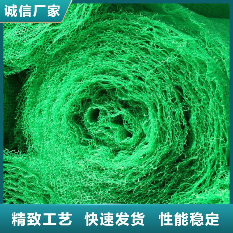 三维植被网,塑料盲沟严格把关质量放心