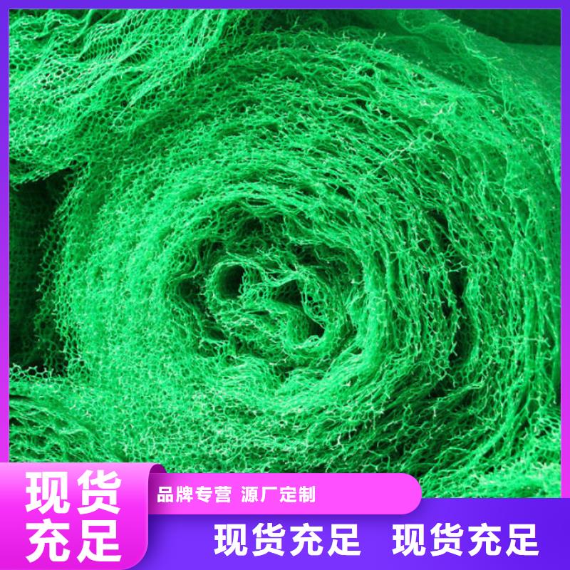三维植被网土工席垫多家仓库发货