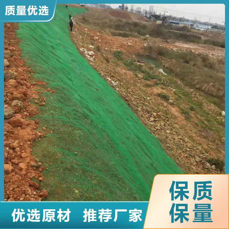 三维植被网钢塑土工格栅一站式采购商家