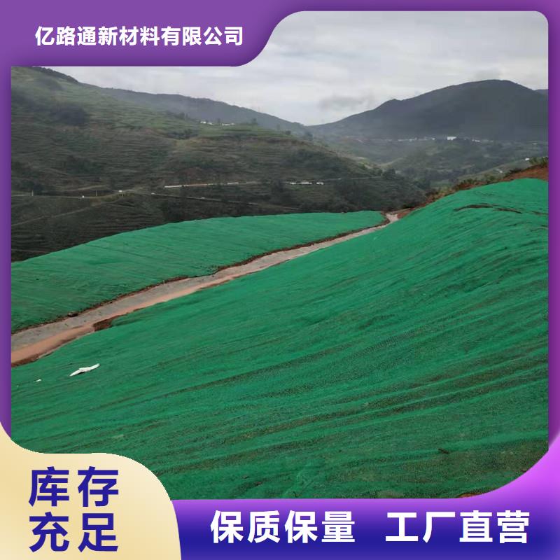 三维植被网防水土工布厂家厂家十分靠谱