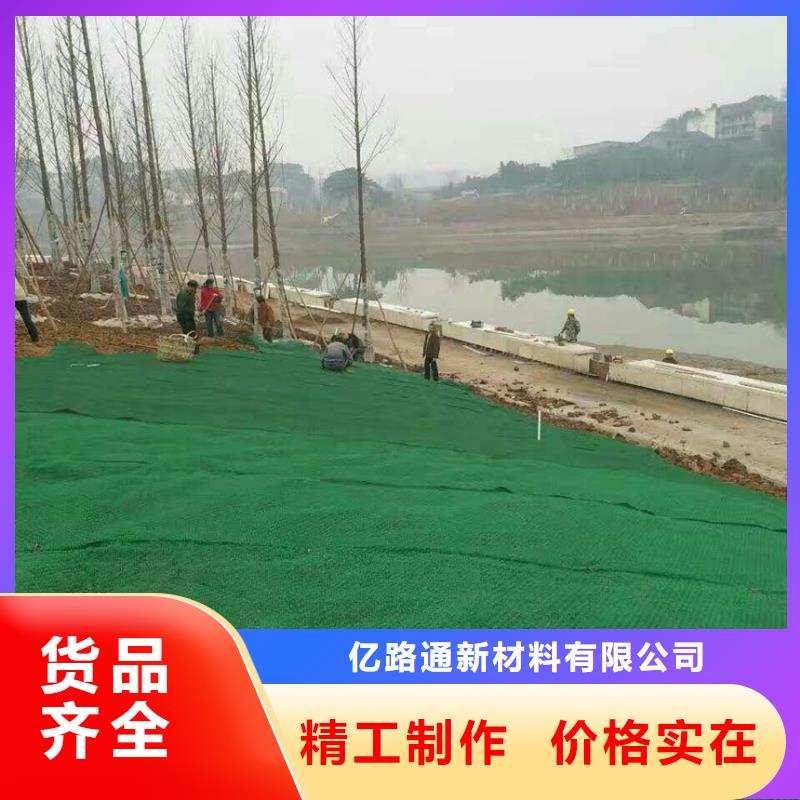 三维植被网,土工席垫专业生产厂家