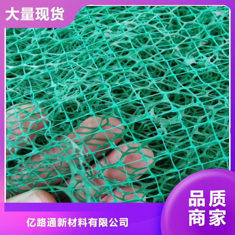 三维植被网,土工席垫专业生产厂家