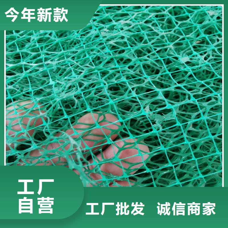 三维植被网钢塑土工格栅一站式采购商家